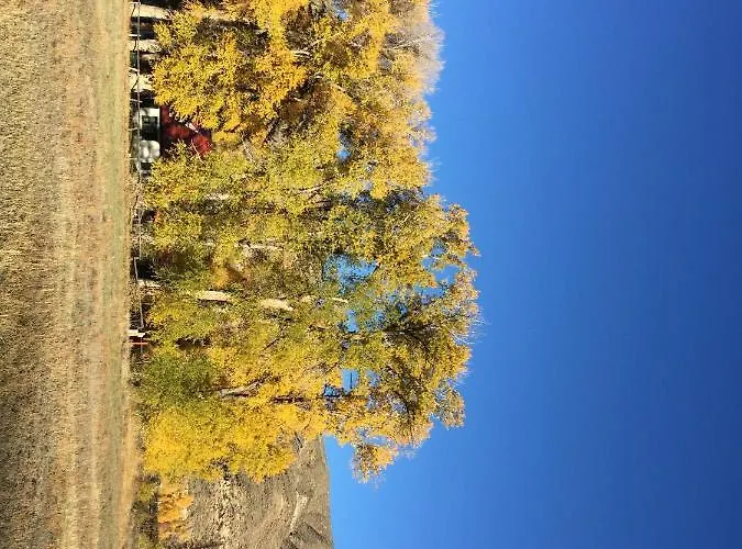 Aubin Sky At The Yl Ranch Savery